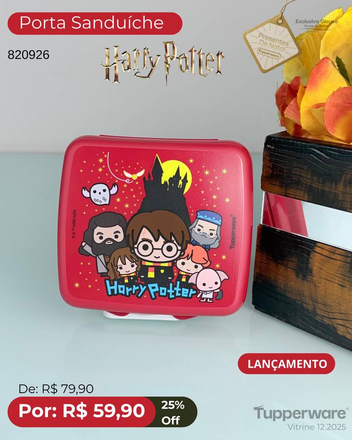 Estojo Tupperware Harry Potter.